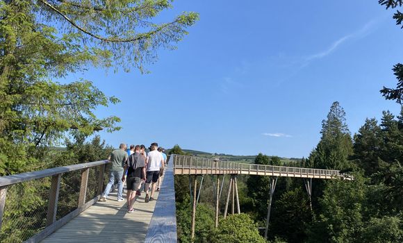 Rogerson Reddan staff scale new heights at Beyond The Trees Avondale Image